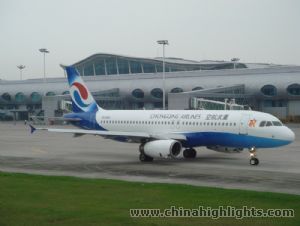 Airport pickup and transfer to hotel