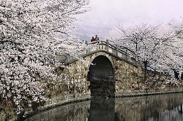 Wuxi Classic Tour