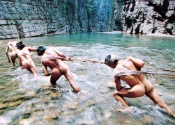 Shennong Stream