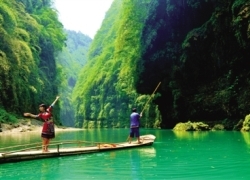 Wulong